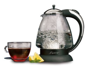 Capresso_H20PlusWaterKettle_Polished_Silo_72dpi